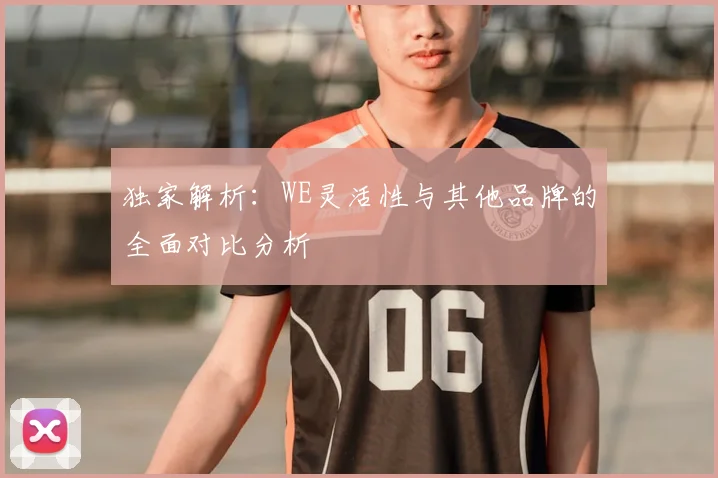 独家解析：WE灵活性与其他品牌的全面对比分析