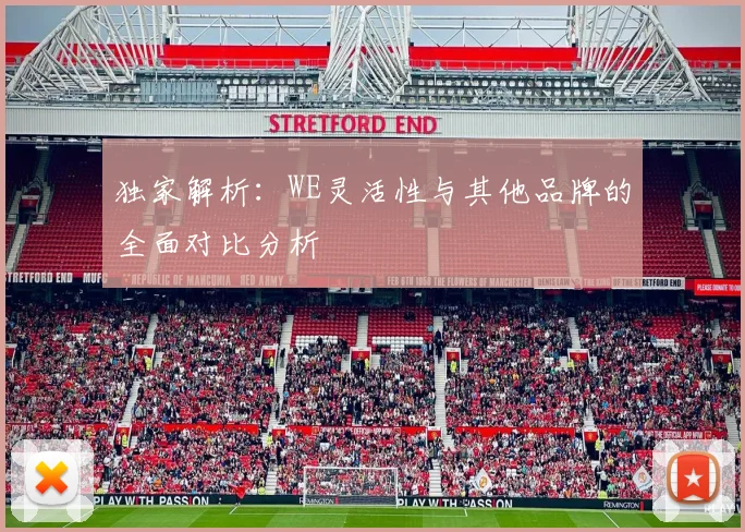 独家解析：WE灵活性与其他品牌的全面对比分析