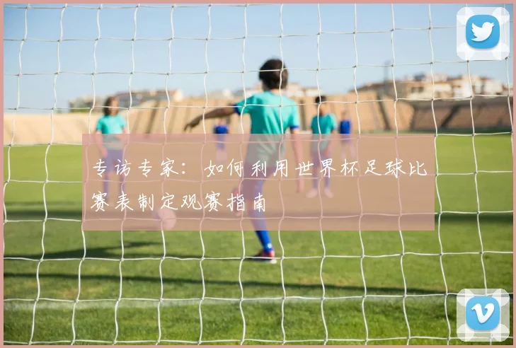 专访专家:如何利用世界杯足球比赛表制定观赛指南