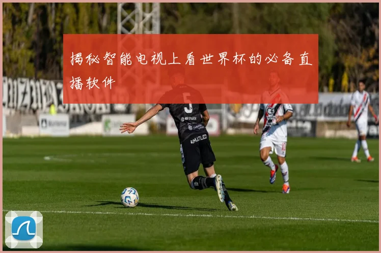 揭秘智能电视上看世界杯的必备直播软件