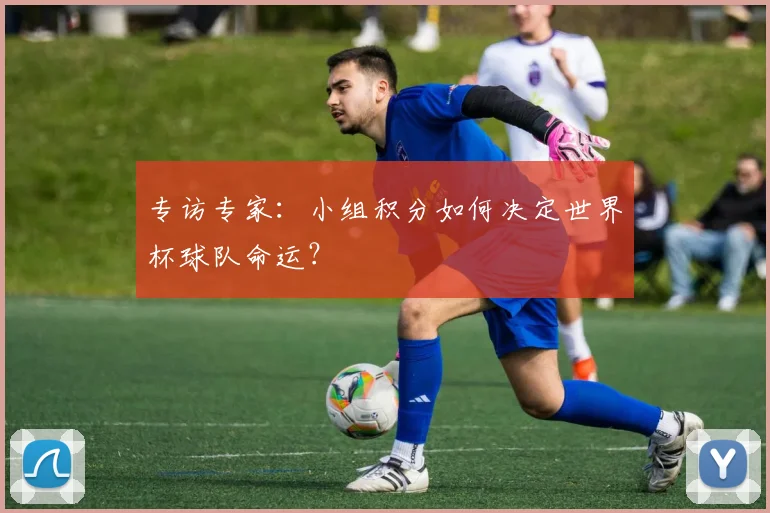 专访专家：小组积分如何决定世界杯球队命运？