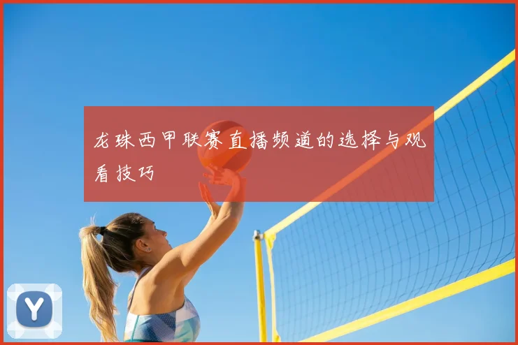 龙珠西甲联赛直播频道的选择与观看技巧