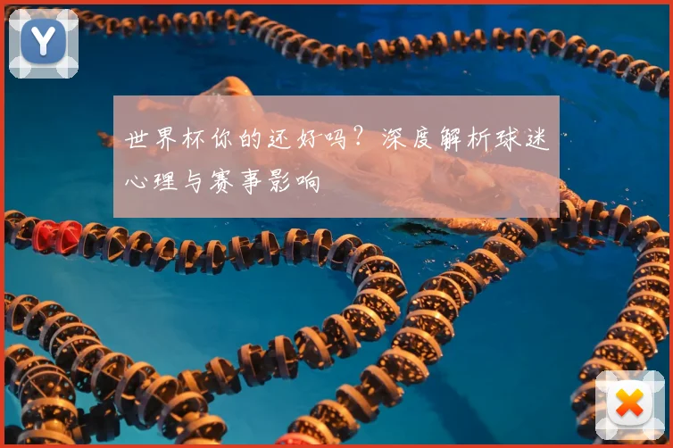 世界杯你的还好吗?深度解析球迷心理与赛事影响