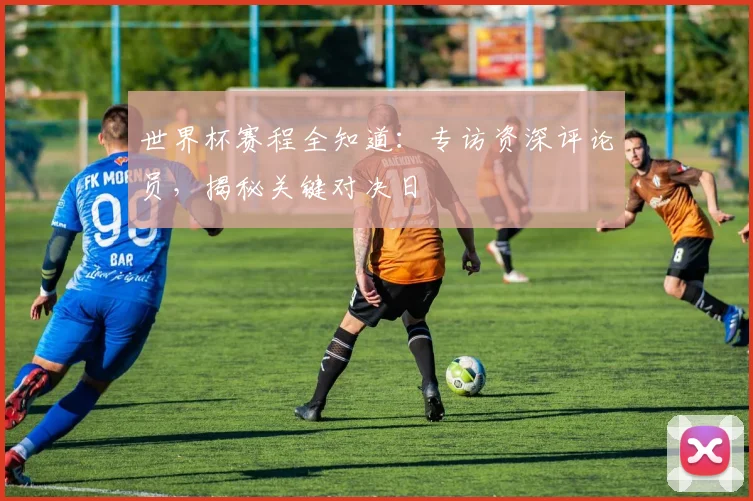 世界杯赛程全知道：专访资深评论员，揭秘关键对决日