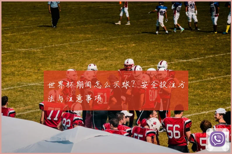 世界杯期间怎么买球?安全投注方法与注意事项
