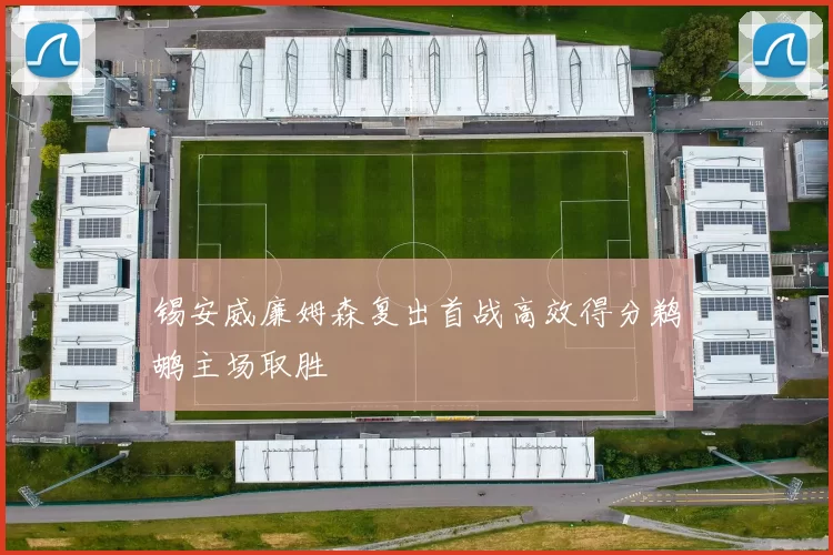 锡安威廉姆森复出首战高效得分鹈鹕主场取胜